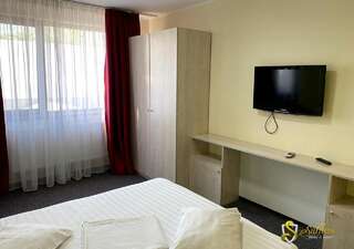 Мотели Hotel Saftica Săftica Стандартный двухместный номер с 1 кроватью-4