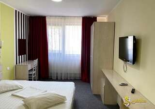 Мотели Hotel Saftica Săftica Стандартный двухместный номер с 1 кроватью-5