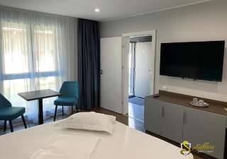 Мотели Hotel Saftica Săftica Улучшенный двухместный номер с 1 кроватью-16