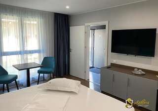 Мотели Hotel Saftica Săftica Улучшенный двухместный номер с 1 кроватью-21
