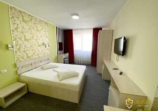 Мотели Hotel Saftica Săftica Стандартный двухместный номер с 1 кроватью-1